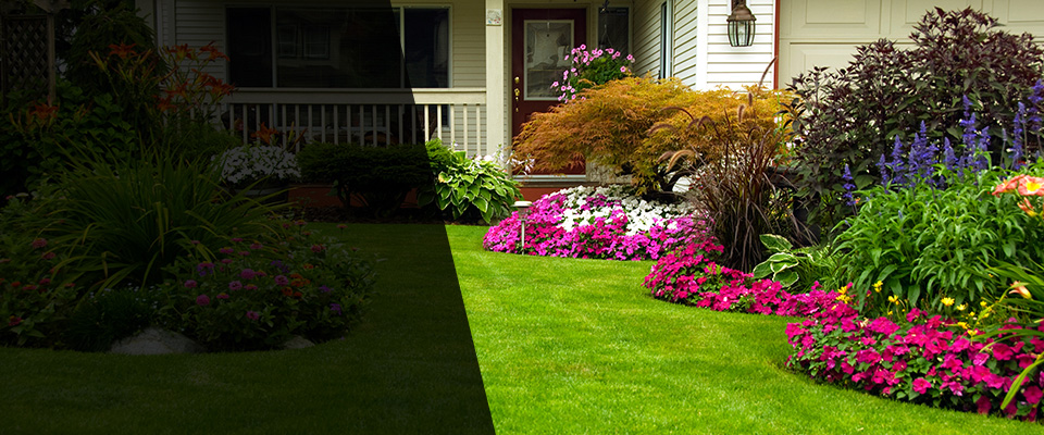 Harris Landscapers
