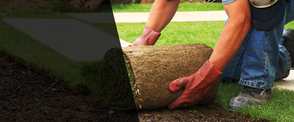 Harris Landscapers